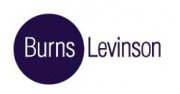 Burns Levision
