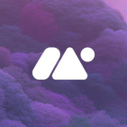Memory Protocol