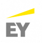 EY CEO