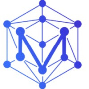 Metaverse Institute