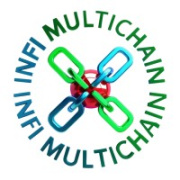INFI MultiChain Ecosystem
