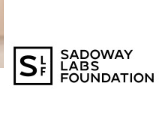 Sadoway Labs Foundation