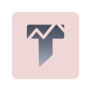 TAxMON Consulting LLC