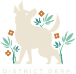 districtderp