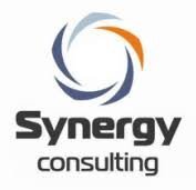 SYNERGY CONSULTING