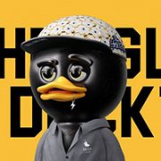 Nasty Duck