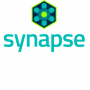 Synapse AI