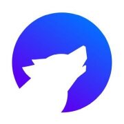 Wolf Financial