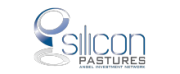Silicon Pastures