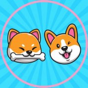 ShibaCorgi