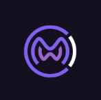 World Metaverse Council