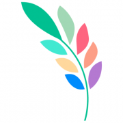 Democracy Earth Foundation