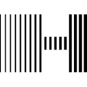 The Hashgraph Group
