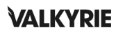 Valkyrie Investments