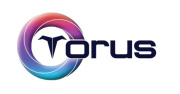 Torus Chain Association