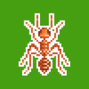 Ants-Review