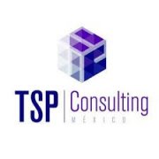 TSP Consulting