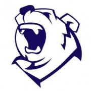 Polarbearz ICO beoordeling en details | ICOholder