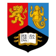 University of Birmingham Dubai