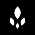 SEED