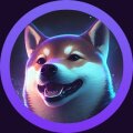 SHIBA CMO