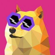 PolyDoge