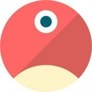 pNetwork