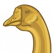 Goose Finance