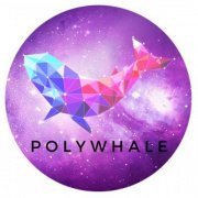 Polywhale Finance