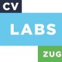 CVLabs