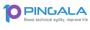 Pingala Software