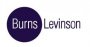 Burns Levision