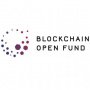 Blockchain Open Fund