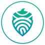 The Acorn Collective
