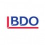 Bdo Global