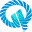 QUANTUM INTELLIGENCE