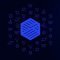 Paygine ICO