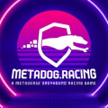 Metadog Race