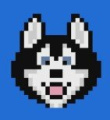 Hosky Token