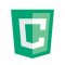 Distributed Сomputer Coin