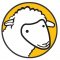 Sheep Coin