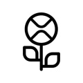XRP Ledger