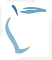 Mango Startups